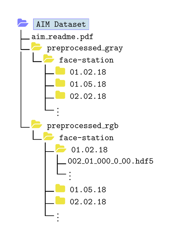 Structure of the AIM Dataset