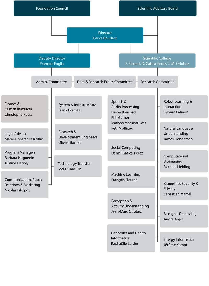 Organisation Chart — English