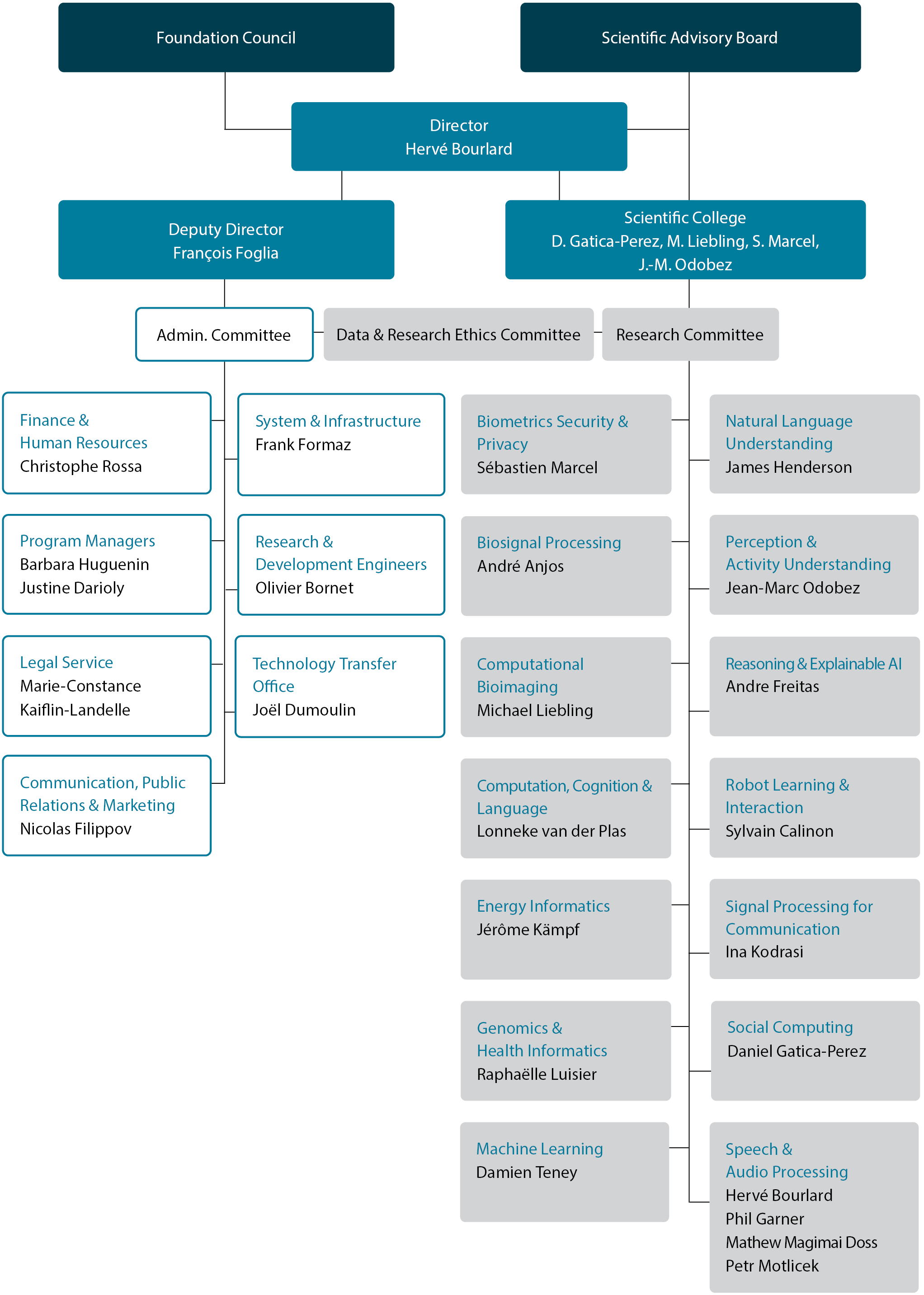 Organisation Chart — English