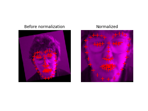 _images/plot_align_faces.png